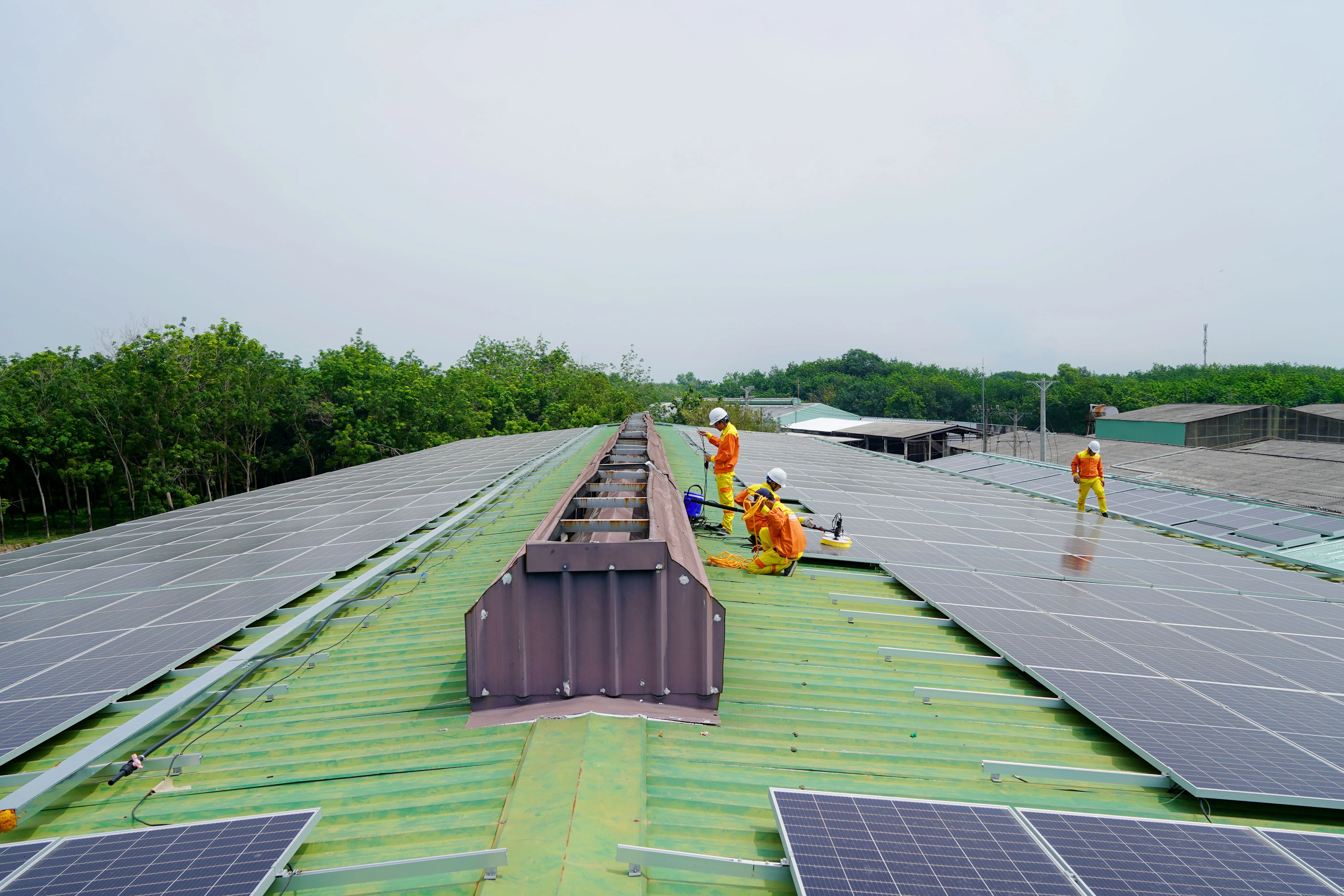 SREDA Net Metering & Utility Liaison